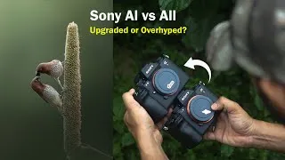 Thumbnail: Sony A1 II Review  | Sony A1 II vs Sony A1 | Sony Alpha 1 II Review for Wildlife Photography