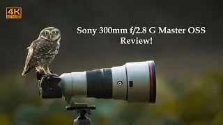 Thumbnail: Sony 300mm f/2.8 GM Review | Bird Photography with the  300mm f/2.8 GM OSS - Review