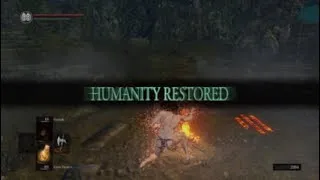 Thumbnail: DS1 Hollows Respawn Without Resting At Bonfire - Dark Souls 1