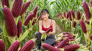 Thumbnail: TIMELAPSE -- Harvesting A Lot Of Corn, Palm Weevil Larvae, Making Fried Chicken and Sell at Market