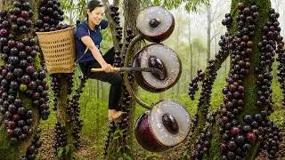 Thumbnail: Harvesting Rare Jabuticaba in Madeira | Crushing, Fermenting & Aging Premium Wine 🍇🍷