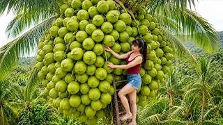 Thumbnail: [TIMELAPSE] -- 489 Days Harvesting A Lot Of Coconut, Jackfruit Go To Village Market Sell
