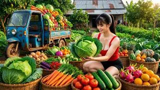 Thumbnail: [TIMELAPSE] -- 202 Days Harvesting A Lot Of Cabbage, Dragon Fruit Go To Village Market Sell
