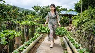 Thumbnail: Harvesting Malabar Spinach from My Backyard Garden | Rural Life