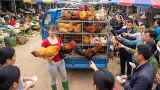 Thumbnail: Harvesting Many Chickens | 3-Wheeled Truck Takes Them to Market | Farm Animal Care