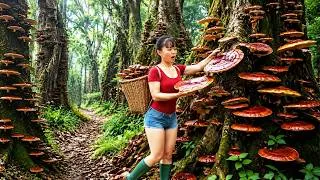 Thumbnail: [TIMELAPSE] 115-Days Harvesting A Lot Of Giant Mushrooms Go To Village Market Sell /Phương's Story