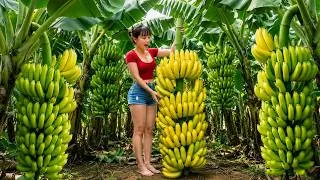 Thumbnail: [TIMELAPSE] 228-Days Use Truck To Harvesting Lots Of Banana Go To Sell At village Market