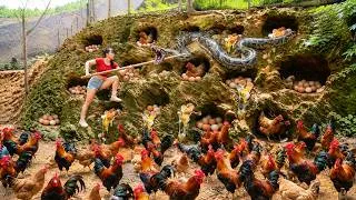 Thumbnail: [TIMELAPSE] 119-Days Harvest Lot Of Rooster, Pigs, Rabbits, Frogs,...Go To Sell /Phương's Story