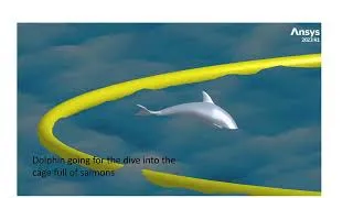 Thumbnail: Dolphin vs Salmon (hydrodynamic simulation of Dolphin diving into fish farming cage)