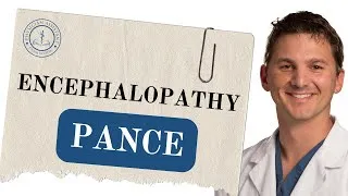 Thumbnail: PANCE Review: Quick Encephalopathy Breakdown You’ll Actually Remember