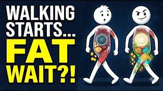Thumbnail: Why Your Body Delays Burning Fat During Walking (The Hidden Metabolism Switch Explained)