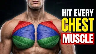 Thumbnail: The Only Exercise You Need for Each Chest Muscle