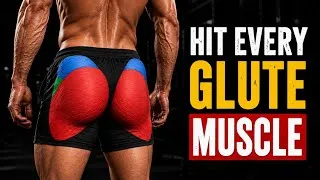 Thumbnail: The Only Exercise You Need for Each Glute Muscle