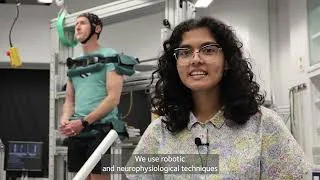 Thumbnail: Physiology Shorts: Cortical responses to balance perturbations persist without postural control