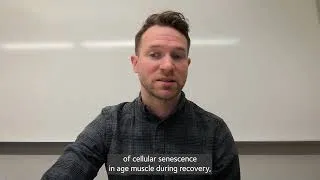 Thumbnail: PHYSIOLOGY SHORTS: immune cell infiltration and macrophage senescence in older adult muscle recovery