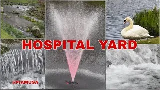 Thumbnail: Beautiful Hospital Yard Perfect Place to Enjoy Lunch Outdoor and Relax #pnw #traveling