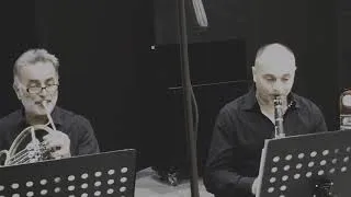 Thumbnail: BEETHOVEN Quintet Op. 16 1t - G. Alvino pf, L. Todino ob, P. Armellino bs, M. Melisi hr, P. Russo cl
