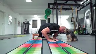 Thumbnail: Bewegunslandkarte der funktionellen Evolution · Herbert Pichler