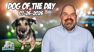 Thumbnail: MLB Picks and Predictions for Today 7/26/2026 | Dawg of the Day 