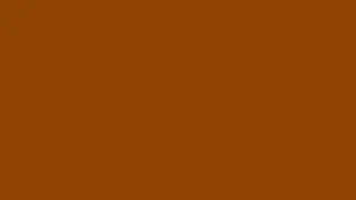 Thumbnail: Brown Screen | A Screen Of Pure Brown For 10 Hours | Background | Backdrop | Screensaver | Full HD |