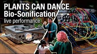 Thumbnail: Plants Can Dance - Tineke - 10min Live Generative Ambient