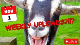 Thumbnail: Weekly Uploads Announcement + Upcoming Livestream! | Vlog