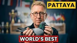Thumbnail: Why Every Pigeon Fancier Watches the Pattaya Race