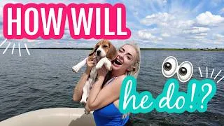 Thumbnail: My puppys FIRST boat adventure! + covering up my MESS...🤦‍♀️🙈