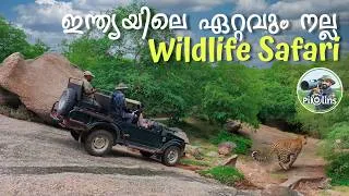 Thumbnail: ഏറ്റവും നല്ല സഫാരി | Most Thrilling and Adventure Safari in India | Jawai Leopards 4K