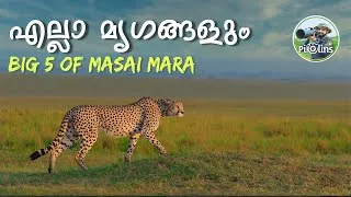 Thumbnail: പ്രകൃതി ആസ്വദിച്ചൊരു യാത്ര | Rarest BIG Five of Masai Mara | Lion and Rhino of Africa 4K