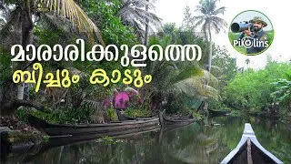 Thumbnail: മാരാരിക്കുളത്തെ കാടും ഗ്രാമങ്ങളും | Forest and Beach of Mararikulam and Pathiramanal in Alappuzha 4K