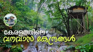 Thumbnail: Best Forest stays in Kerala | Full details of Cottages in Gavi, Thekkady, Nelliyampathi Arippa 4K
