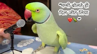 Thumbnail: जब इस तोते ने बोला तो सब हैरान रह गए 😲