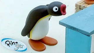 Thumbnail: Pingu Loses 🐧 | Pingu - Official Channel | Cartoons For Kids