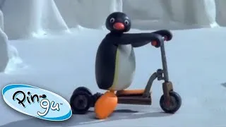 Thumbnail: The NEW Scooter! 🐧 | Pingu - Official Channel | Cartoons For Kids