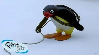 Thumbnail: The Mountaineer! 🐧 | Pingu - Official Channel | Cartoons For Kids
