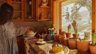 Thumbnail: Welcoming Spring | Little things that make a home Beautiful 🪴