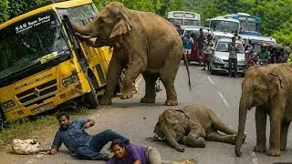Thumbnail: "Mass Panic as Elephant Smashes bike 🐘 | "هجوم مفاجئ في الطريق 