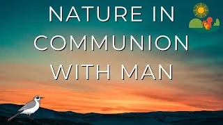 Thumbnail: Adagio for Strings - Nature in communion with man is possible