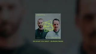 Thumbnail: Dam Swindle - Do What You Want (Burnski Remix)