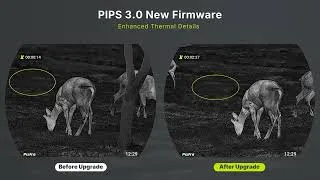 Thumbnail: See Animal Fur at Night?! Draco Ultimate Thermal Image Upgrade!