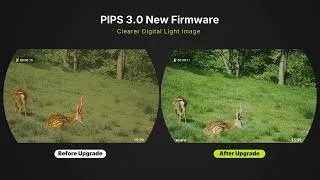 Thumbnail: Like Real Life! Draco’s New Update Delivers Stunning Color & Clarity