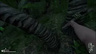 Thumbnail: Green Hell - Spirits of Amazonia - Welcome to the Jungle