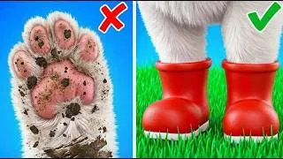 Thumbnail: Simple and Cool Crafts For Your Lovely Pets