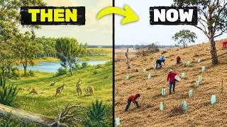 Thumbnail: We’re Recreating a Lost Ecosystem