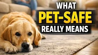 Thumbnail: Pet Safe Pest Control Isn’t About Products - It’s About Exposure