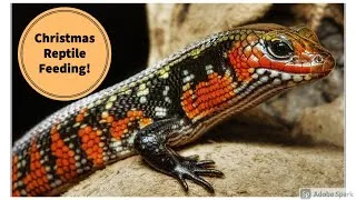 Thumbnail: Reptile Treats For Christmas!🎄