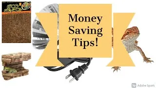 Thumbnail: Reptile Money Saving Tips!