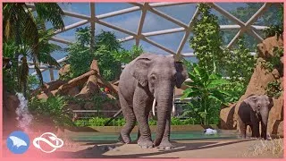 Thumbnail: Elephant House & Indoor Dome in Camellia Zoo! 🐘 (Part 1) | Planet Zoo