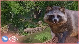 Thumbnail: Japanese Raccoon Dog Habitat in Camellia Zoo!🦝 | Planet Zoo